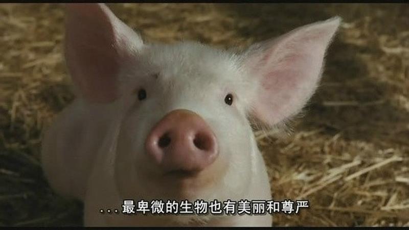 拿着iPhone7穿着世界首富的衣服，你就走上人生巅峰啦？