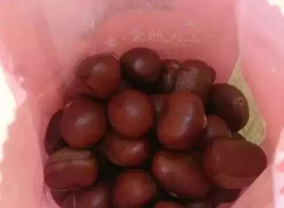 金味栗子,金味栗子几月开始卖