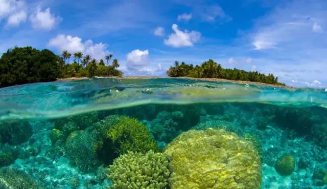 泰国沙美岛潜水有套路吗,泰国普吉岛潜水泳镜