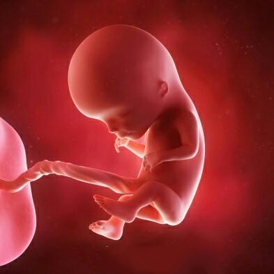 为什么羊水叫羊水,羊水为什么叫羊水不叫人水