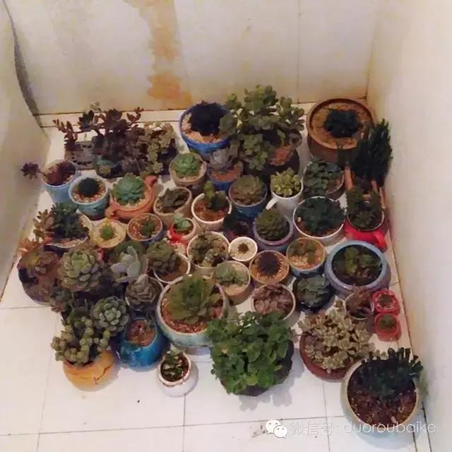 入坑就不能自拔,入坑后无法自拔