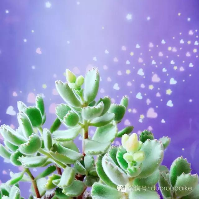 入坑就不能自拔,入坑后无法自拔