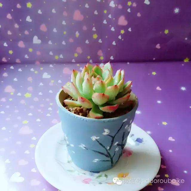 入坑就不能自拔,入坑后无法自拔