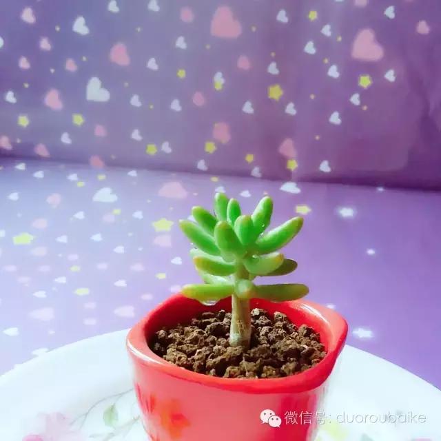 入坑就不能自拔,入坑后无法自拔