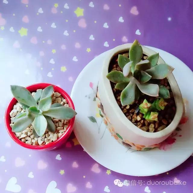 入坑就不能自拔,入坑后无法自拔