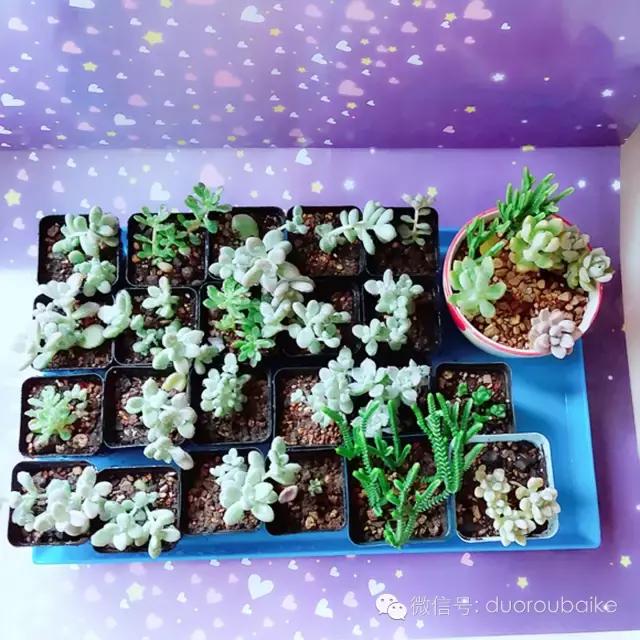 入坑就不能自拔,入坑后无法自拔