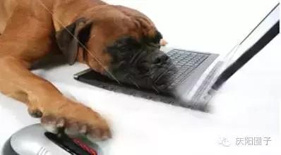 离开庆阳10年的感受,庆阳真实的生活