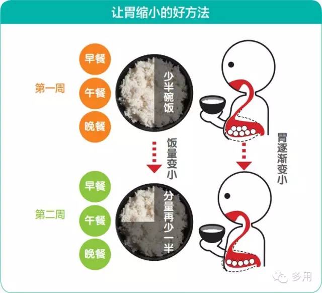 肚子被撑大怎么改善,肚子撑大了怎么才能变回去