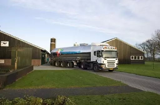 荷兰奶源为什么那么好,乳制品最好的是荷兰吗