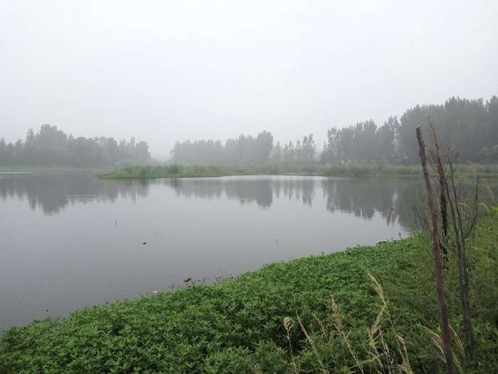 鱼儿并不会因为你用天价鱼竿而青睐于你!