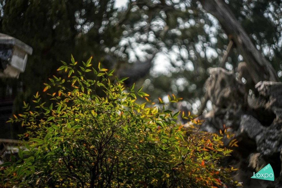 索尼a7详解,无关信仰唯有超越