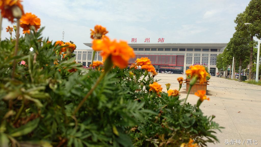 中兴天机7最新系统版本,中兴天机7手机