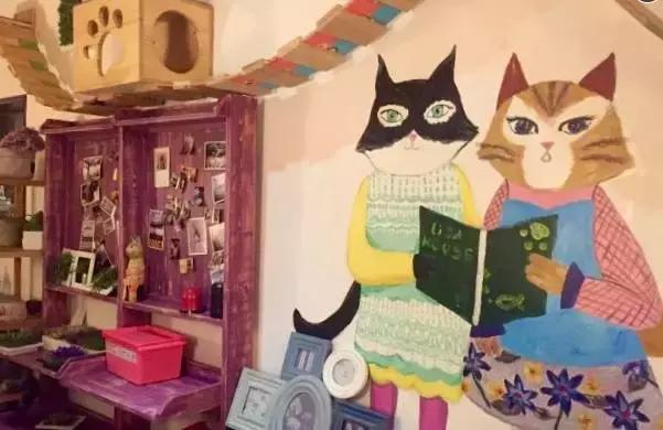 猫咪咖啡馆哪家最好,武汉有哪些猫咪咖啡厅