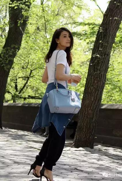 高圆圆带火的包包,高圆圆牛皮小包