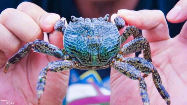 海岛兰卡威旅游,梦回兰卡威度假海岛