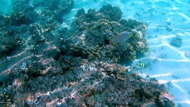 海岛兰卡威旅游,梦回兰卡威度假海岛