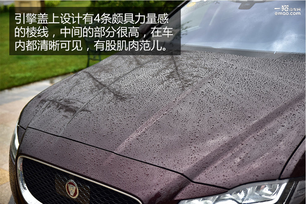 2018娆緓fl鍙樺寲,xfl鍏ㄦ柊鎹唬