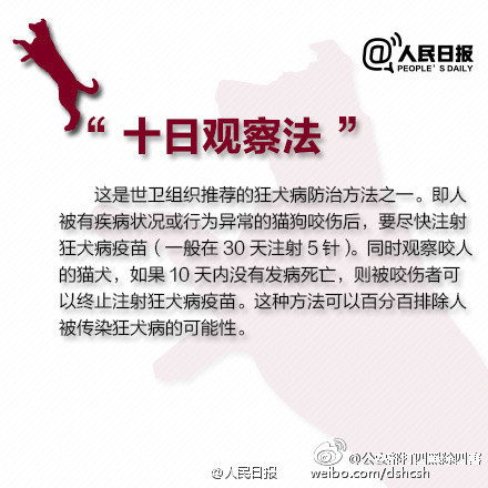 怎么知道狗携带有狂犬病毒,咋样知道有没有狂犬病发作