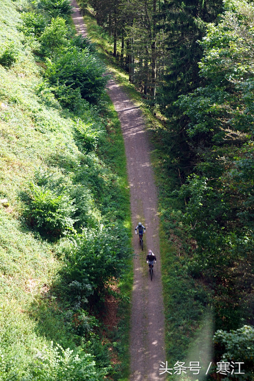 踩到黑森林的泉水，就能娶到弗莱堡的漂亮妞儿！