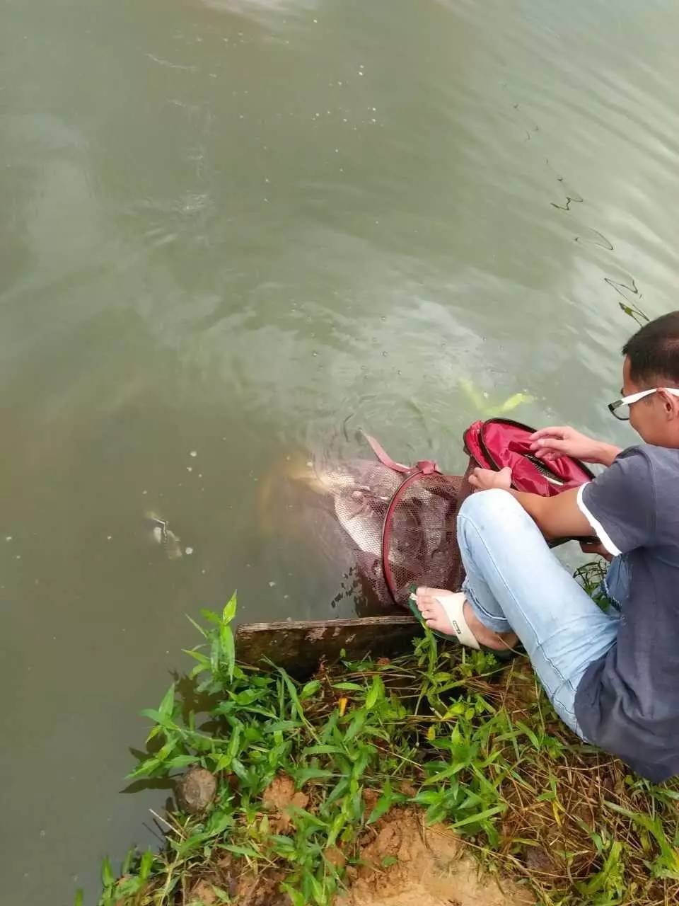 不管钓什么鱼都是铅坠着地钓,不管钓什么鱼漂都一样吗