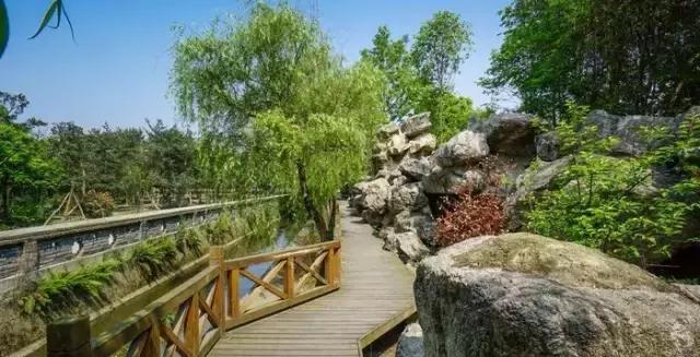 成都附近适合秋游的地方,成都秋游好去处