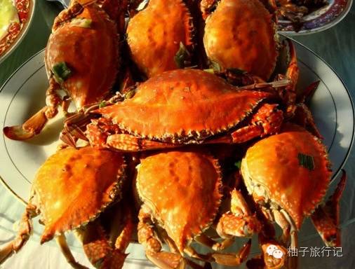 关于连云港的攻略,江苏连云港旅游免费攻略