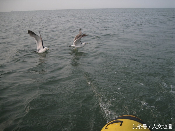 长岛美吗,长岛大美