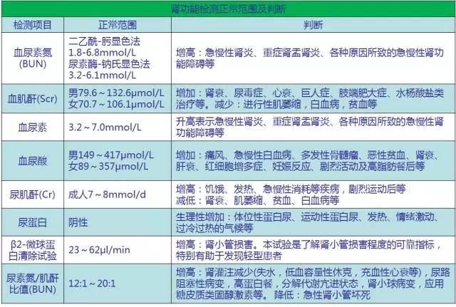 看不懂体检报告？速收藏，超全攻略教你读懂它
