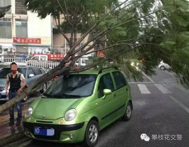 攀枝花这些驾驶员，真是“nozuonocry”呀