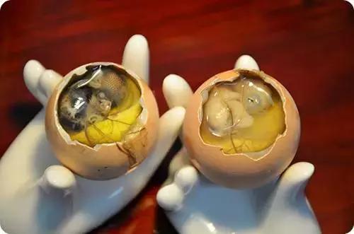 吃货福利来啦全集,吃货福音来啦带你打卡