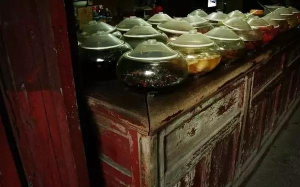 吃货福利来啦全集,吃货福音来啦带你打卡