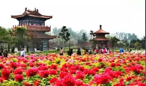 洛阳涧西区好玩的景点,洛阳35个免费景点