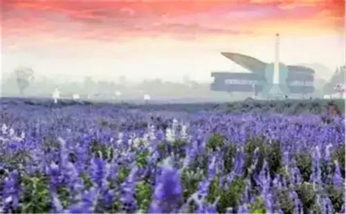 洛阳涧西区好玩的景点,洛阳35个免费景点