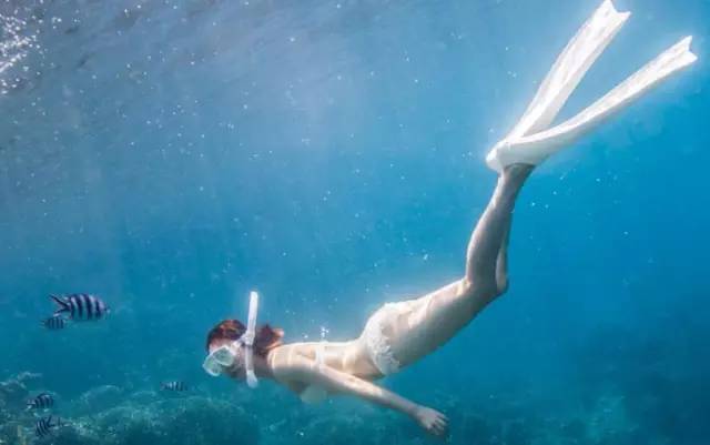 泰国沙美岛潜水有套路吗,泰国普吉岛潜水泳镜