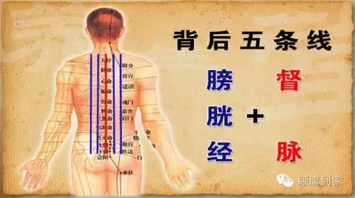 刮痧能瘦大腿内侧赘肉吗,刮痧通络减肥