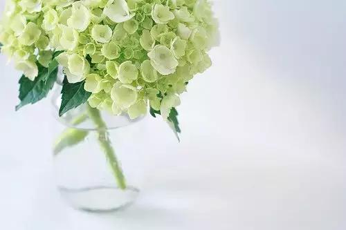 亲爱的在吗我想你了语音,我想你了怎么办高情商回复