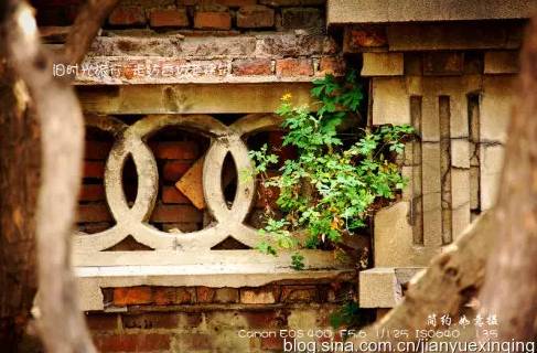 哈尔滨81年的老房子值得买吗,哈尔滨老房子有多老