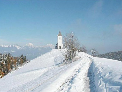 走近美国,美国科罗拉多大峡谷寒武纪