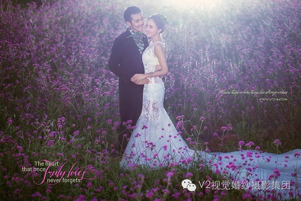 v2视觉摄影,v2视觉摄影作品