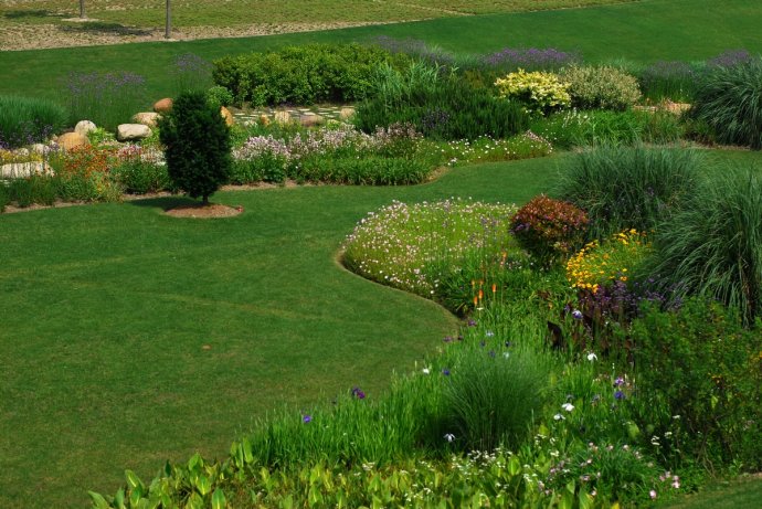 辰山植物园旱溪花境,上海辰山植物园珍稀植物