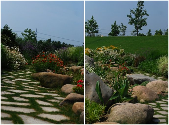 辰山植物园旱溪花境,上海辰山植物园珍稀植物