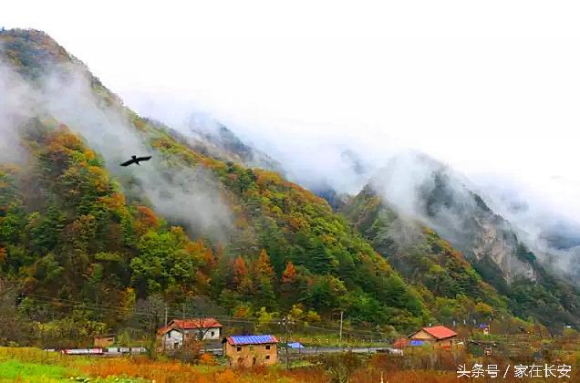 西安长安旅游怎么玩,西安长安游玩攻略