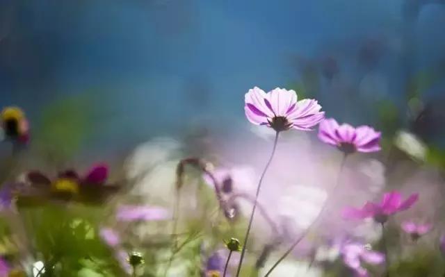 游玩情报站,旅途最新情报