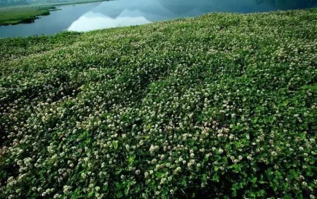 游玩情报站,旅途最新情报