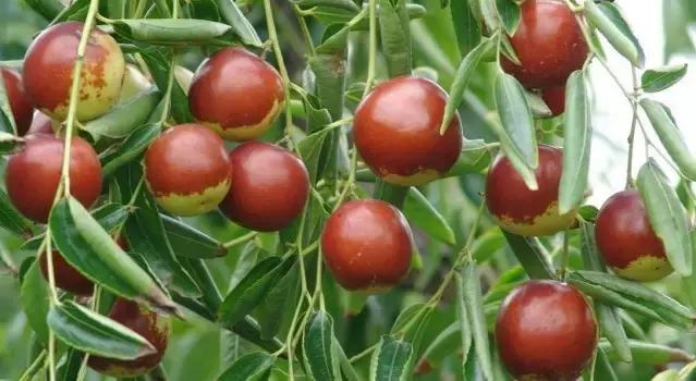 西安边上有个“沙坡头”，沙场冲浪、露营赏月，聊咋咧！