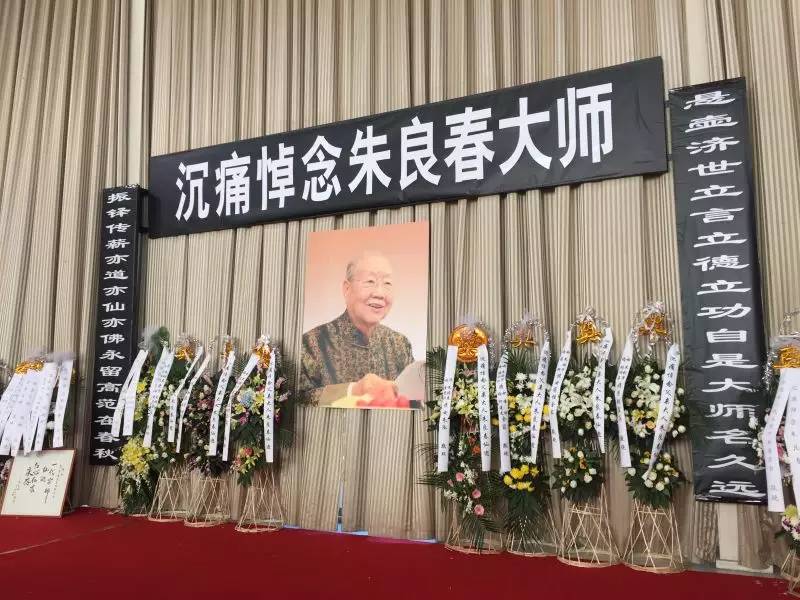 杏林“春”去,暖长留——悼念国医大师朱良春