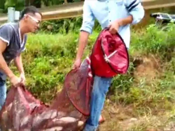 不管钓什么鱼都是铅坠着地钓,不管钓什么鱼漂都一样吗