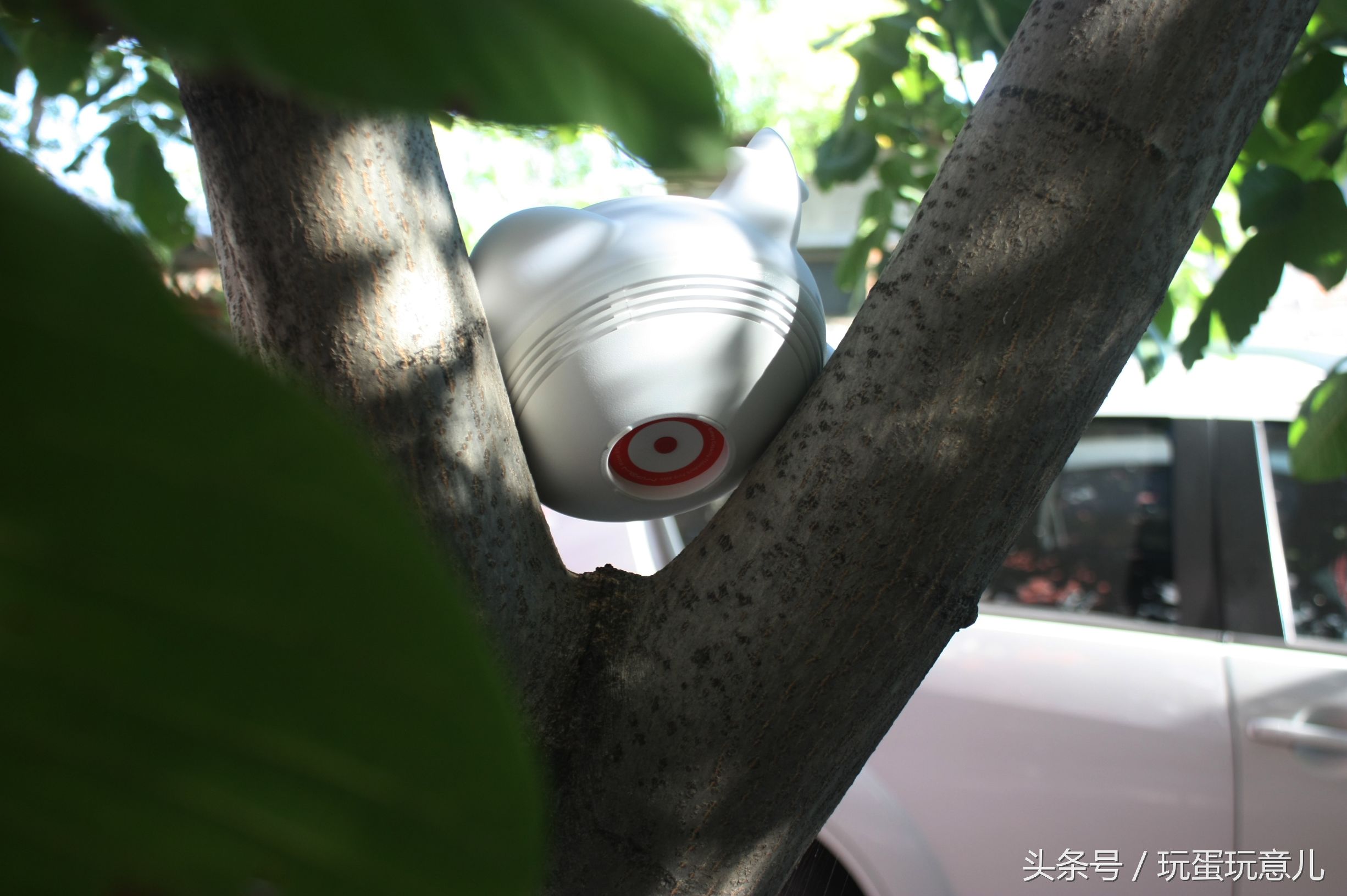 照星爷的话讲，想撩妹吗我教你！AirWhale智能音响灯体验