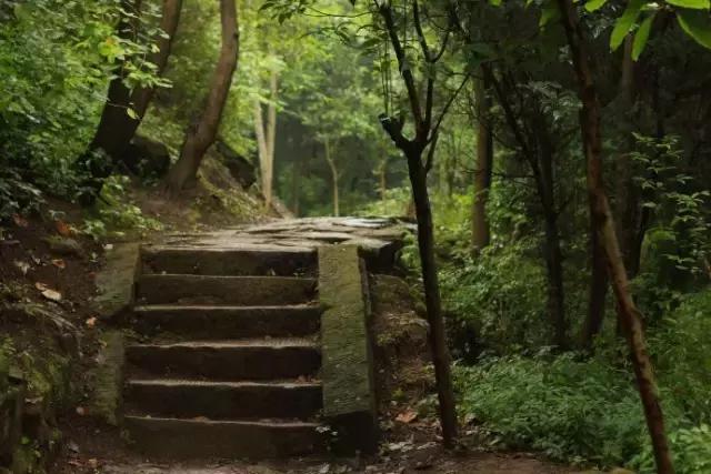 成都附近适合秋游的地方,成都秋游好去处