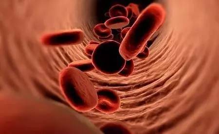 液体活检的“太子”们：ctDNA与CTC